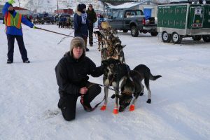 A new role for Jodi, Armchair Musher…