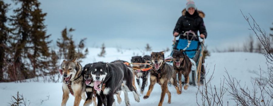 running in the Alaskan wilderness